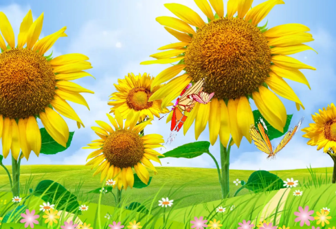 1691733327296445.png image.png