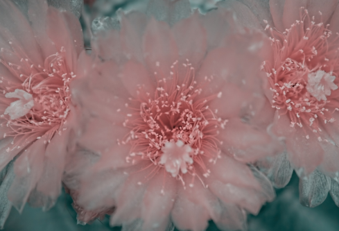 1691735706877288.png image.png