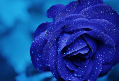 1691737104133402.png image.png