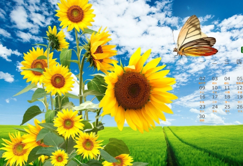 1691739296784899.png image.png