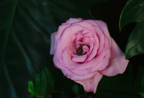 1691739629138153.png image.png