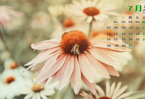 1691739829791956.png image.png