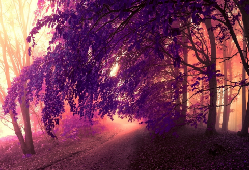 1692734262139466.png image.png