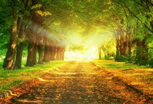 1692738745941191.png image.png