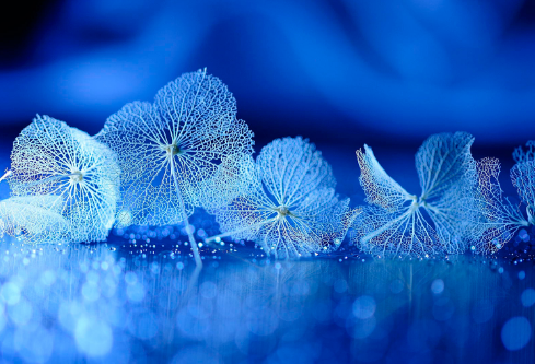 1692747547749011.png image.png