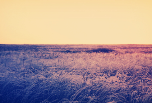 1692750204132361.png image.png