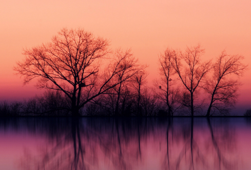 1692754026843121.png image.png