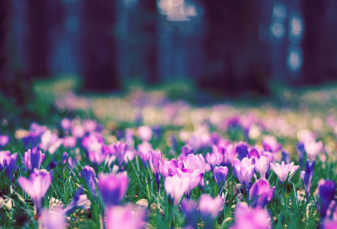 1692757701416332.png image.png