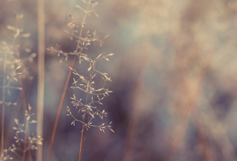 1692760855112291.png image.png