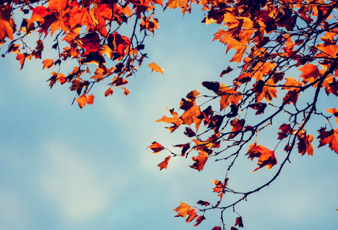 1692763181104248.png image.png