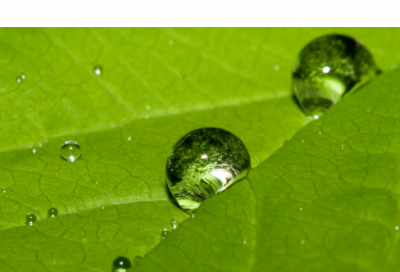 ​好听的qq幻想世界游戏名字优雅好听（霸气好听的qq幻想世界游戏名字）