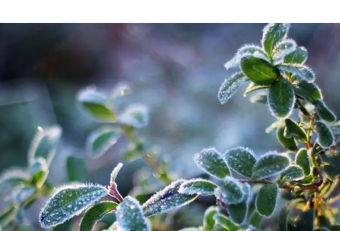 1714061233495726.png image.png