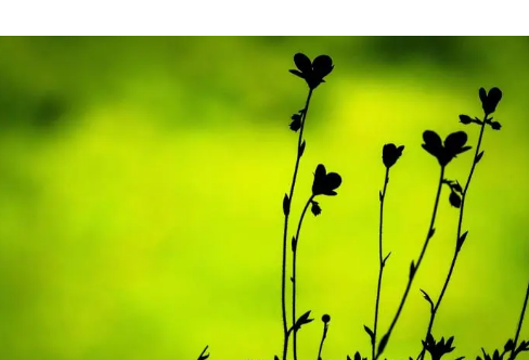 1714061400599475.png image.png