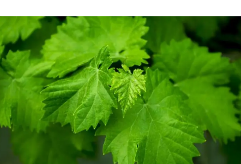 1714062067409619.png image.png
