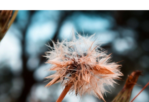 1714062401564017.png image.png