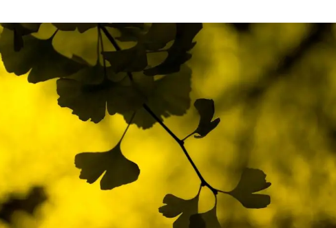 1714062735129099.png image.png