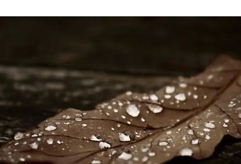 1714062901594225.png image.png