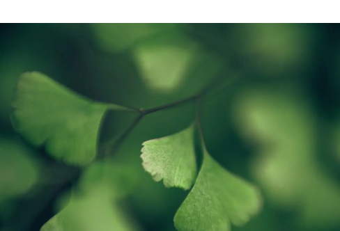 1714063068416117.png image.png