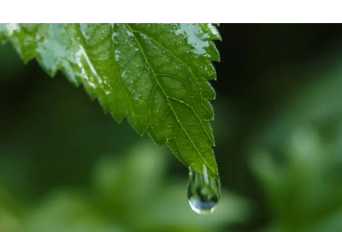 1714063736138777.png image.png