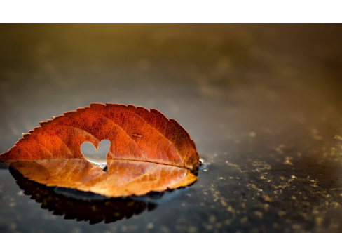 1714064069162014.png image.png