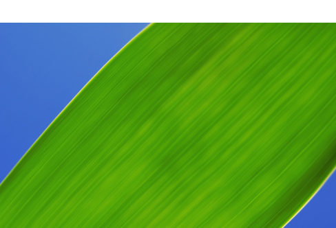 1714064570928281.png image.png