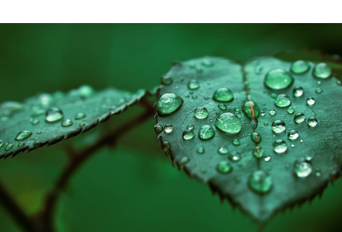 1714065738140649.png image.png