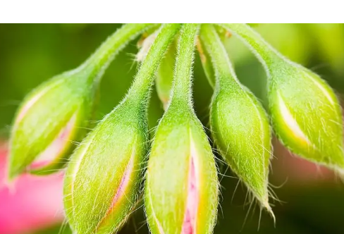 1714066238247604.png image.png