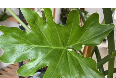 ​天涯明月刀ol霸气游戏名字最新（比较有个性的天涯明月刀ol霸气游戏名字）