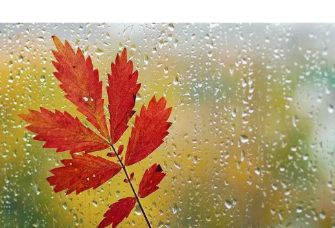 1714066572100134.png image.png
