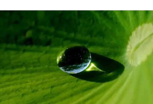 1714067240384575.png image.png
