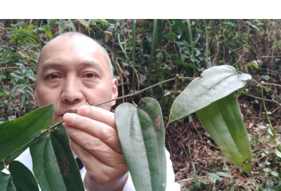 ​好听又时尚的游戏名字骚气搞笑（简单好听又时尚的游戏名字）
