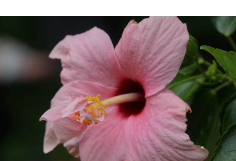 1714070078657095.png image.png