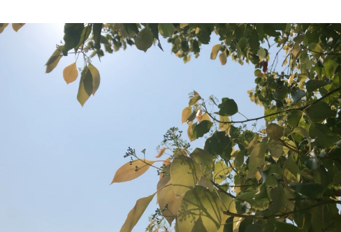 1714070578713897.png image.png