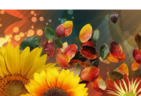 1714072747321275.png image.png