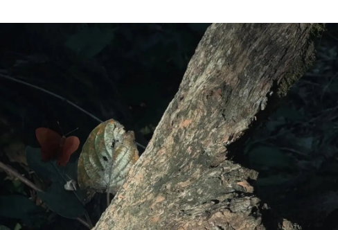 1714072913116702.png image.png