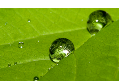 1714073414111555.png image.png