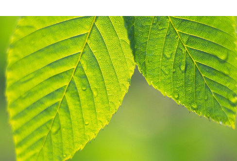1714074081422012.png image.png