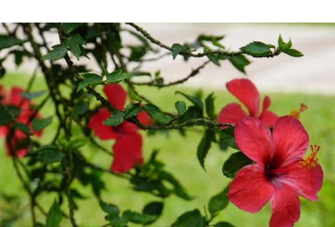 1714074415298640.png image.png