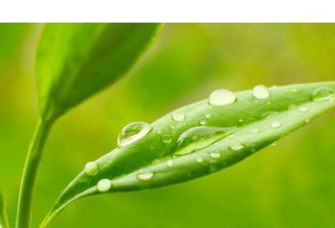 1714075583439225.png image.png