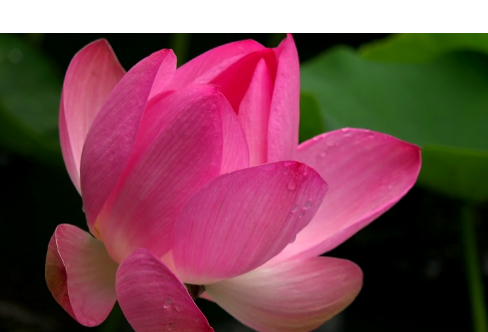 1714075750910165.png image.png