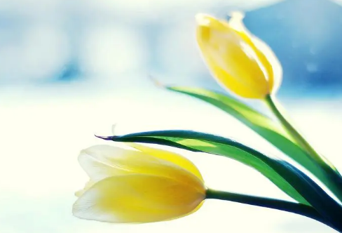 1714147467448219.png image.png