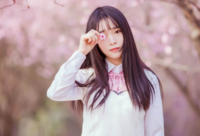 ​四字的马年祝福语52句